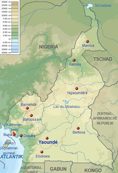 Telefonauskunft Kamerun Übersicht